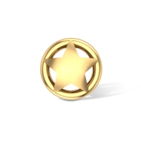 Anaya Gold Nosepin Anaya Gold Nosepin