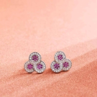 925 Sterling Silver Tashu Earrings 925 Sterling Silver Tashu Earrings