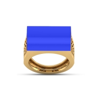 Neema signet gold Ring Neema signet gold Ring